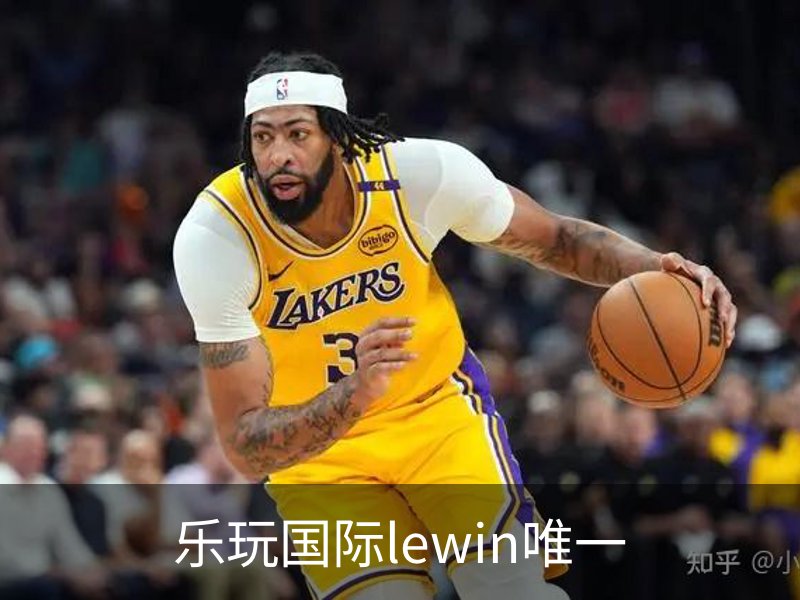 乐玩国际lewin唯一概况